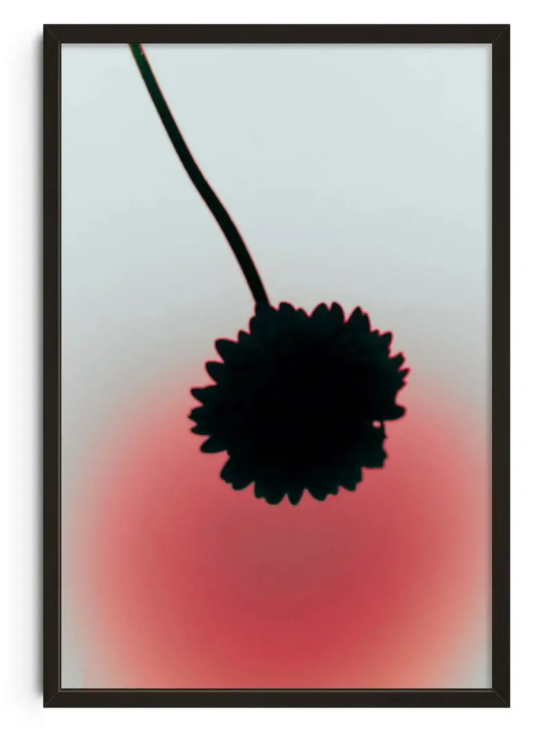 Flower Silhouette 1
