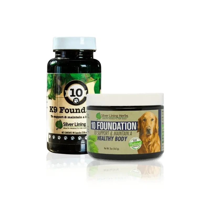 Foundation For Canines 1