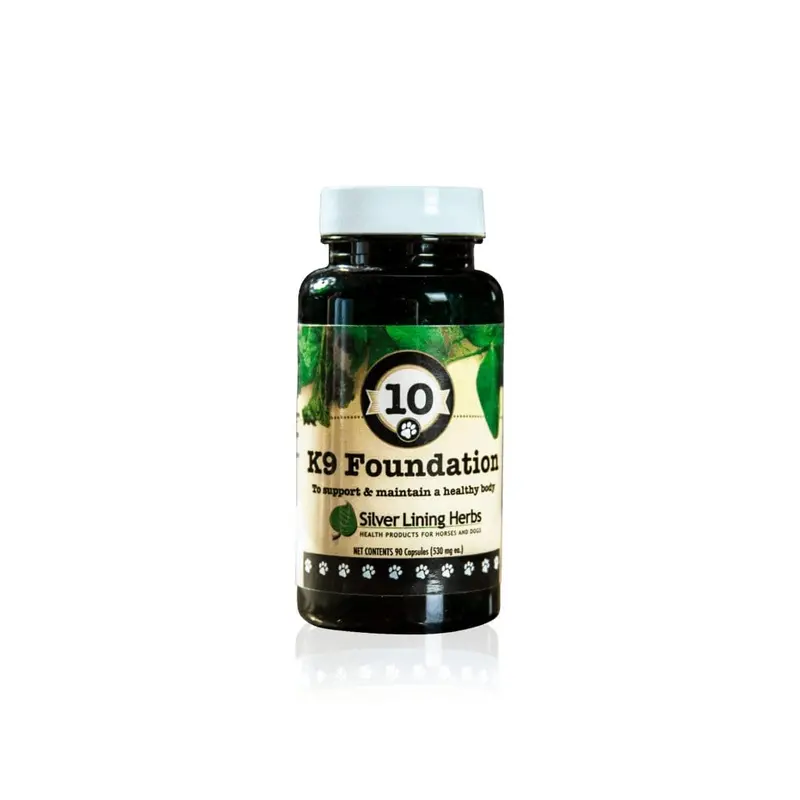 Foundation For Canines 1