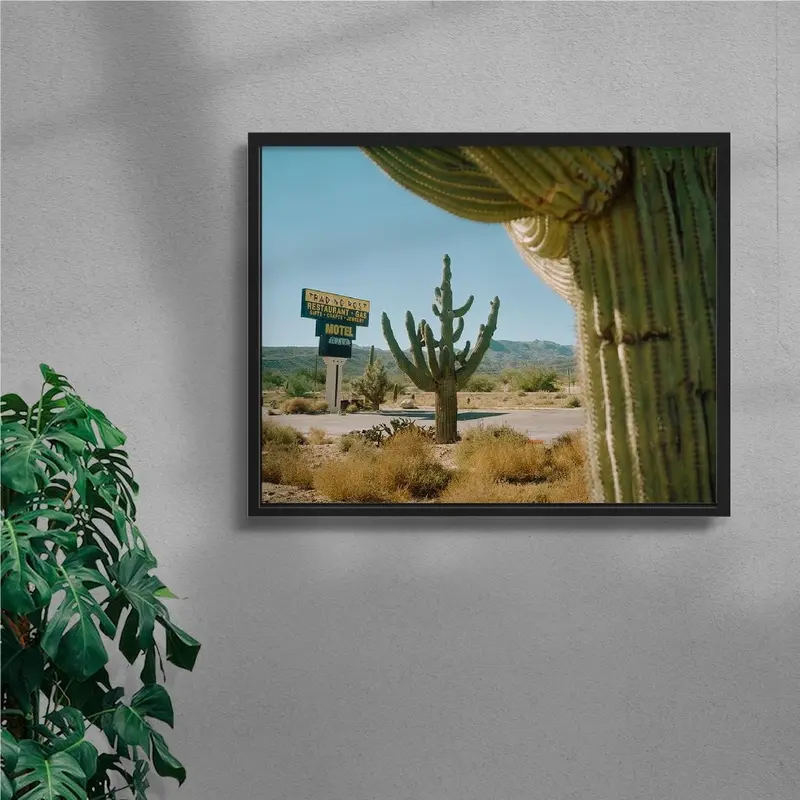 Framing Saguaros 4