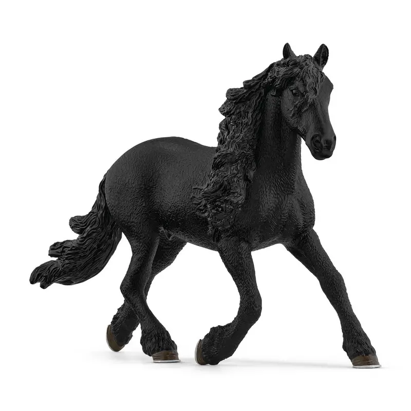 Friesian Stallion 1
