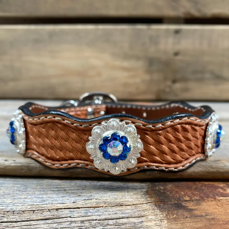 Genuine Leather Dog Collar With Bright Silver Capri And Ab Conchos 10" To 22" -Dc48 2