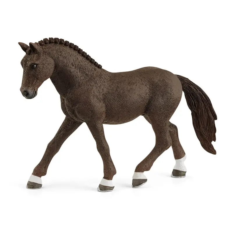 German Riding Pony Gelding 1