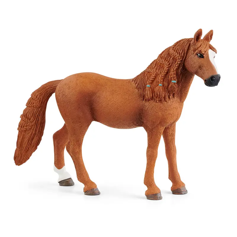 German Riding Pony Mare 1