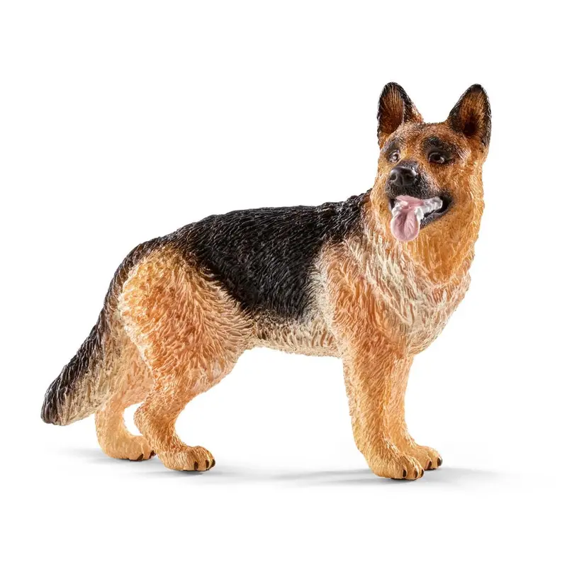 German Shepherd 1