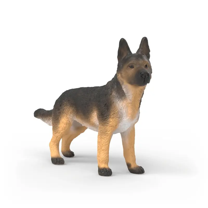 German Shepherd Female 1