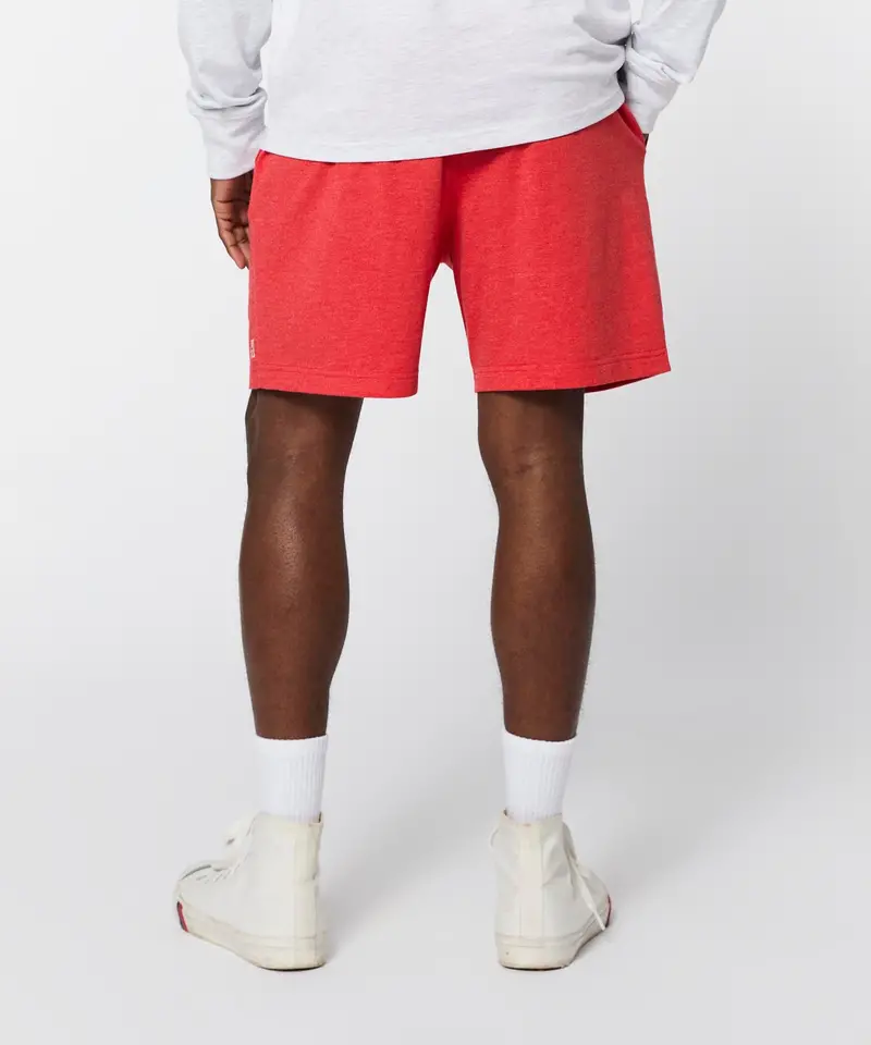 Go-To Lightweight Shorts 6