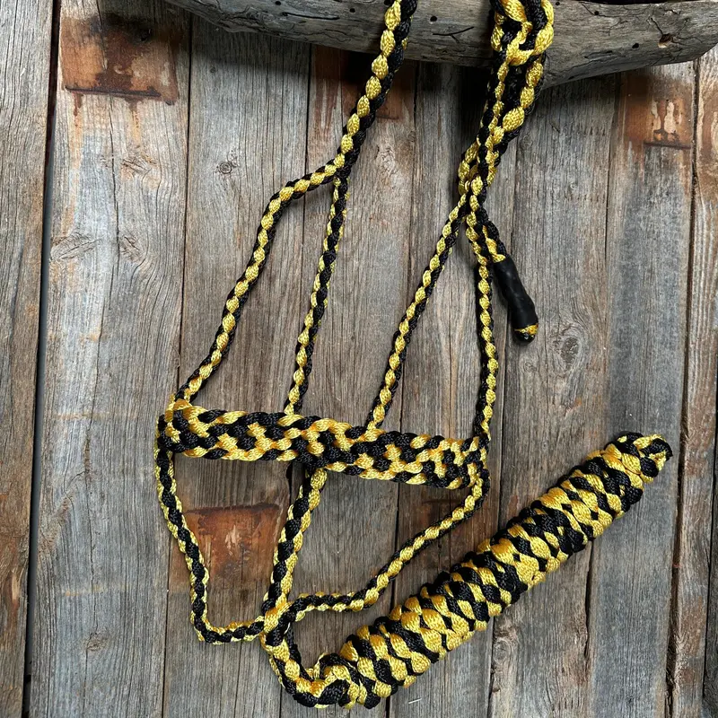 Gold And Black Mule Tape Halter 1