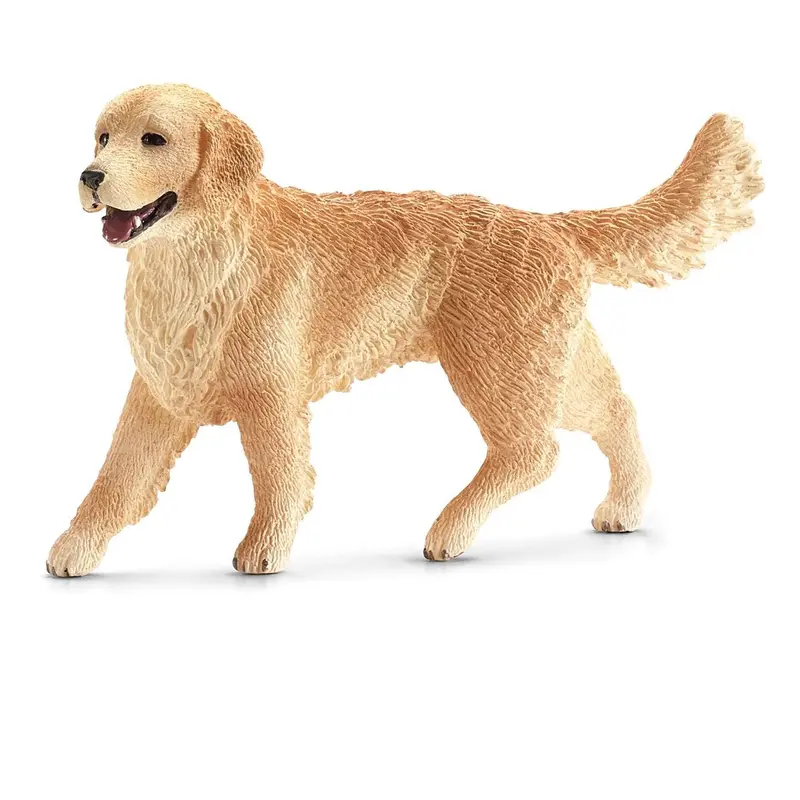 Golden Retriever, Female 1