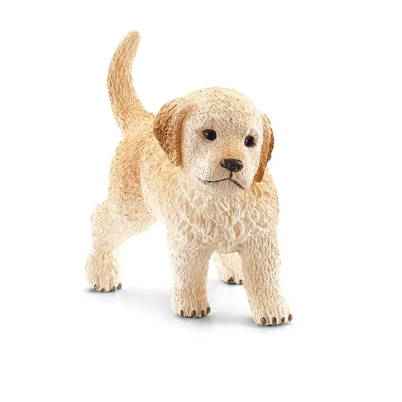 Golden Retriever Puppy 1