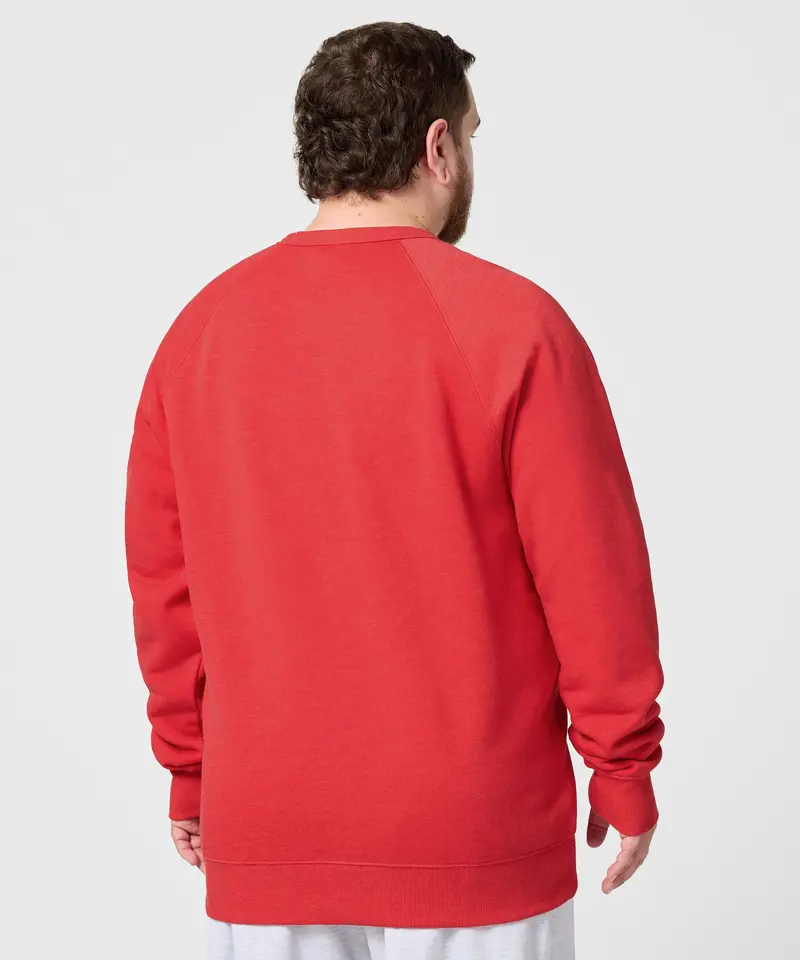 Goofy Halloween Bat Crewneck 4