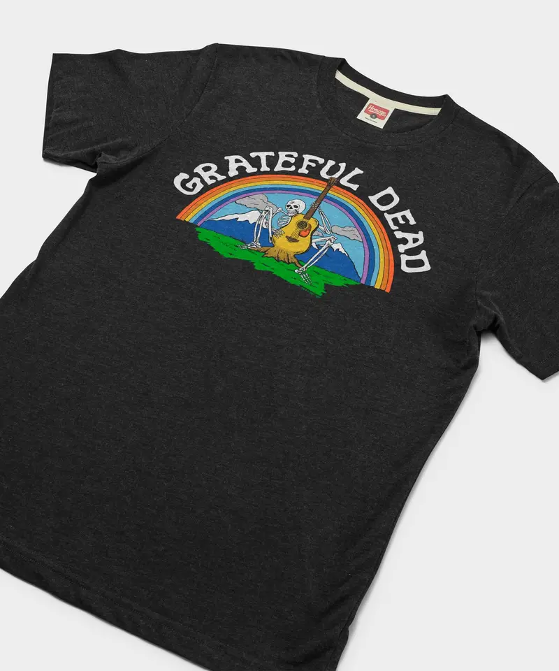 Grateful Dead Guitar Skeleton 2
