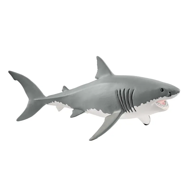 Great White Shark 1