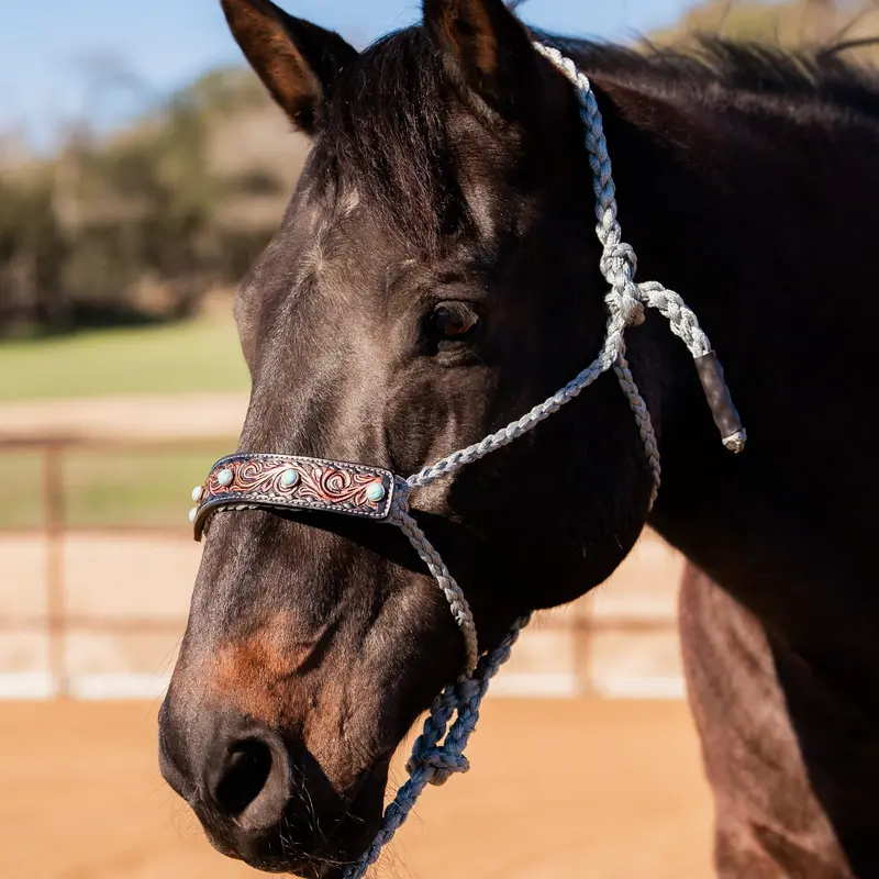 Grey Mule Tape Halter -Turquoise Cabochon #Mt232 1