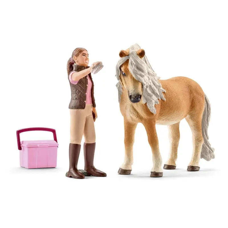 Groom With Icelandic Pony Mare 1