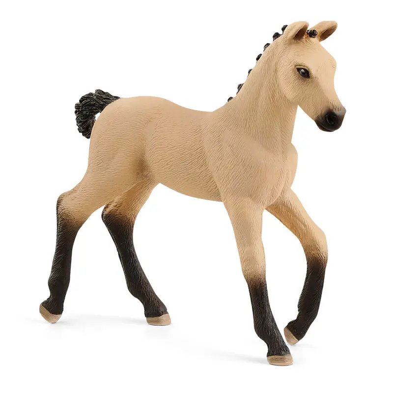 Hannoverian Foal, Red Dun 1