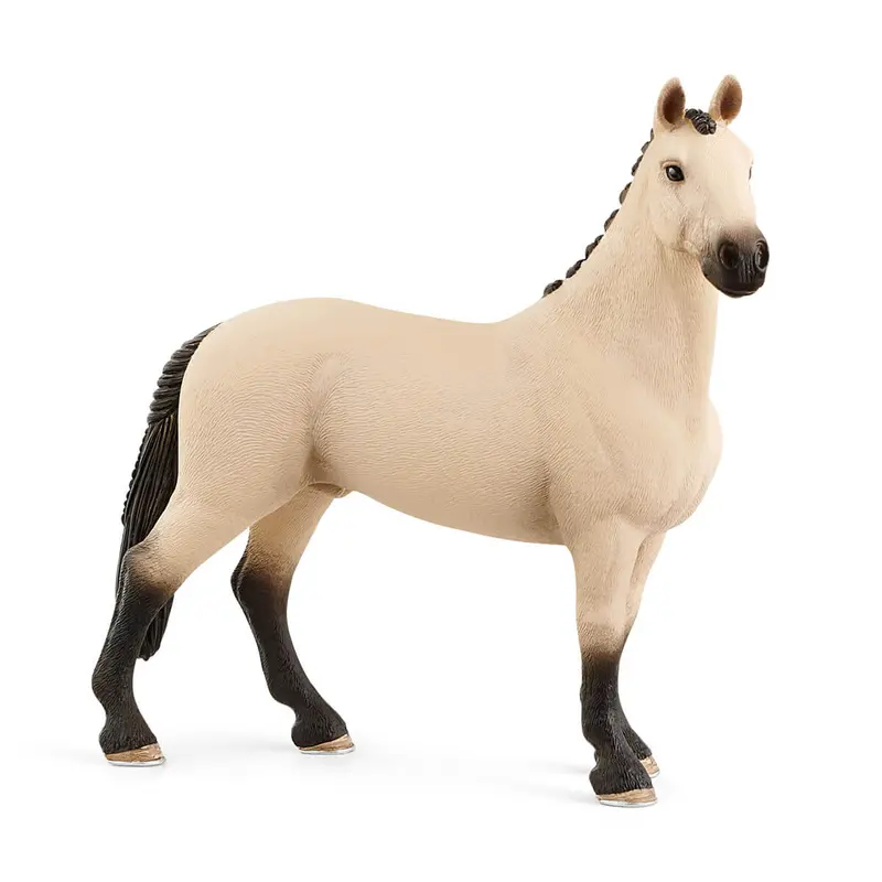 Hannoverian Gelding, Red Dun 1