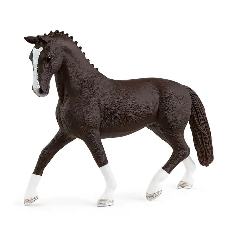 Hanoverian Mare, Black 1