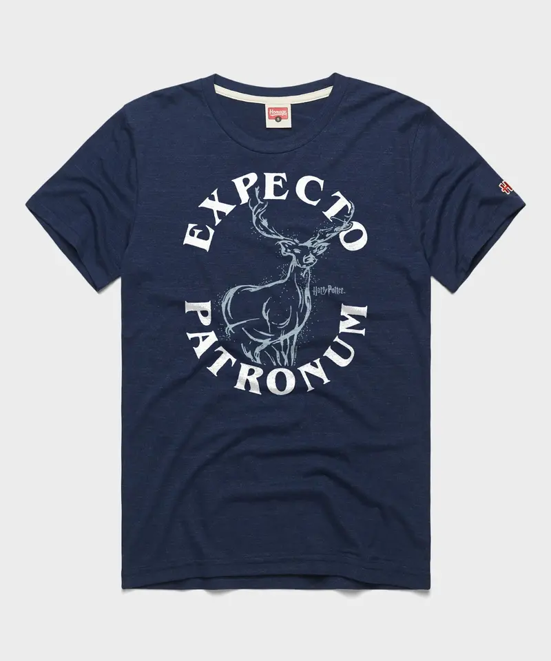 Harry Potter Expecto Patronum 1