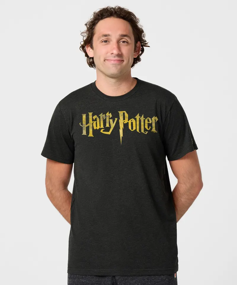 Harry Potter Logo 3