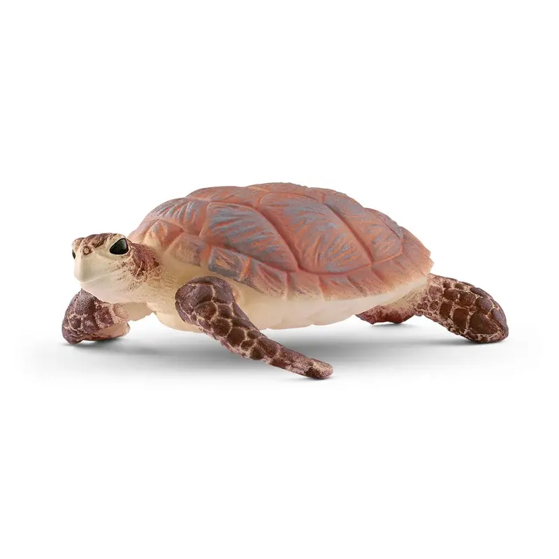 Hawksbill Sea Turtle 1