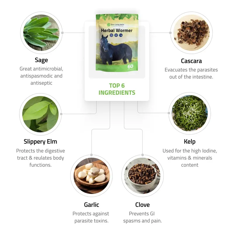 Herbal Wormer For Horses 5
