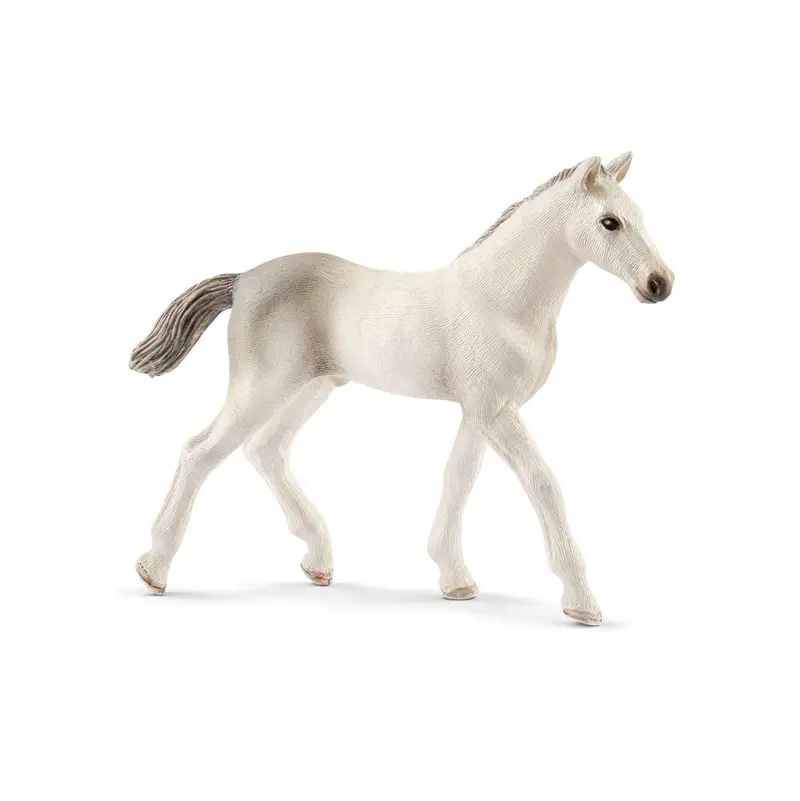 Holsteiner Foal 1