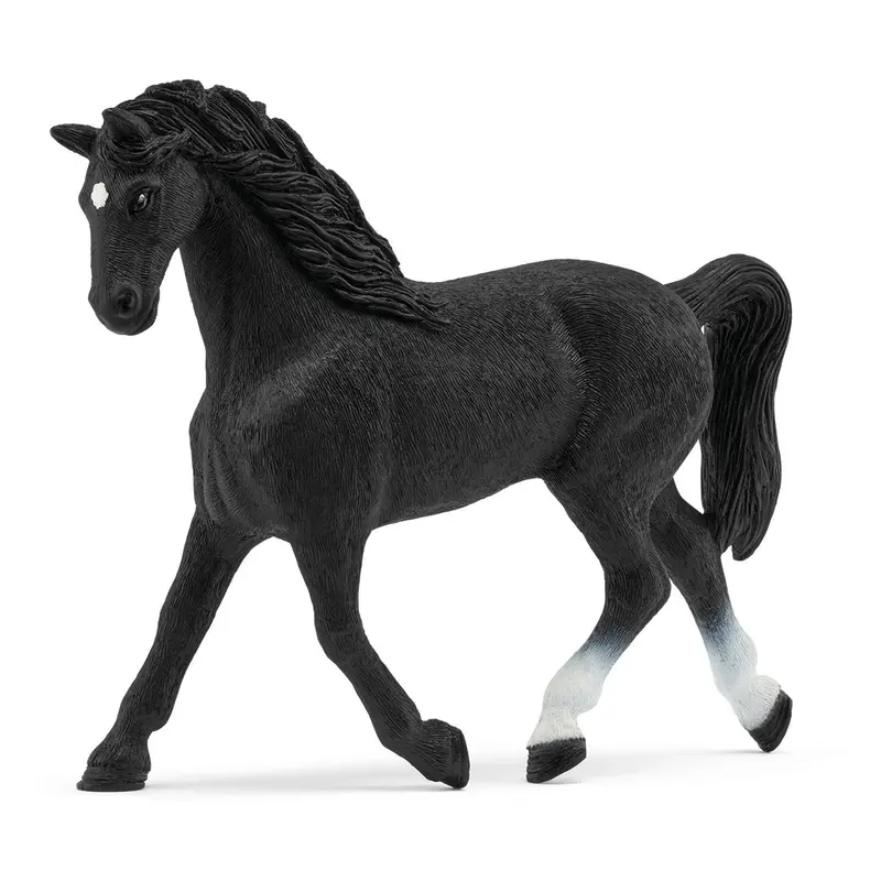 Holsteiner Mare 1