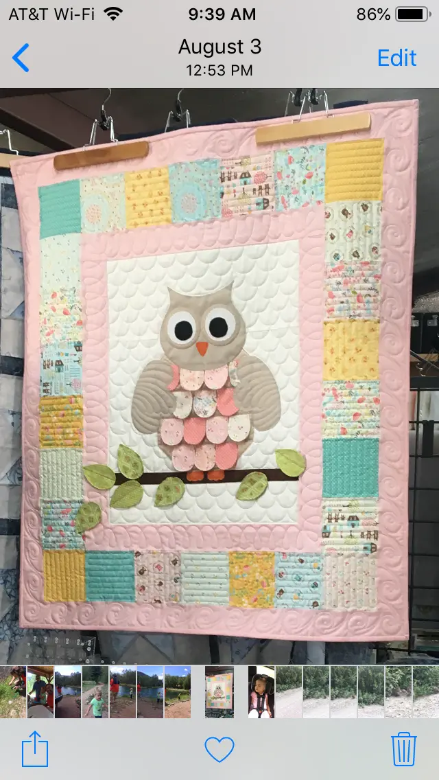 Home Sweet Home Owl Kit 38 X 40.  Kit Includes Fabric, Bining, & Book. 1