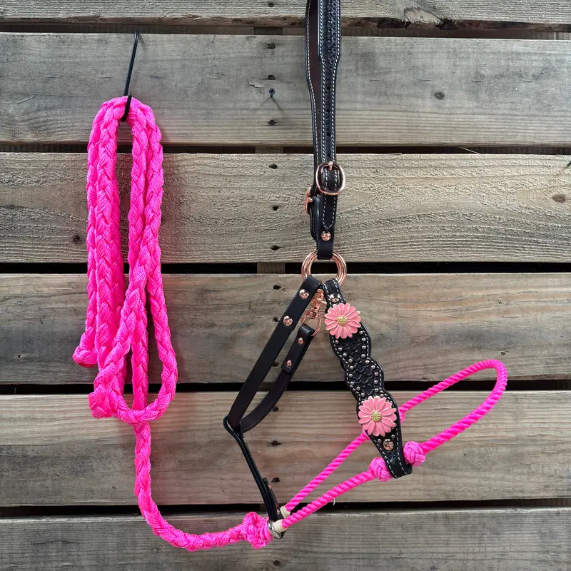 Honeycomb Tooled Lariat & Leather Combo Halter #Lh107 1