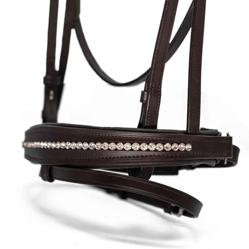 Horse Bridle | Bling It Bridle 1