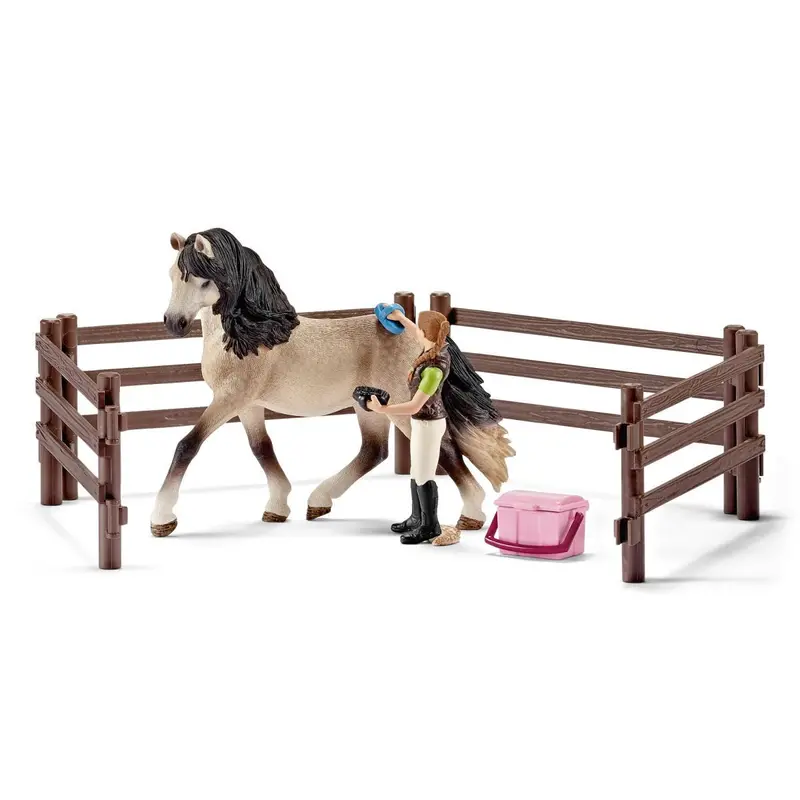 Horse Care Set, Andalusian 1
