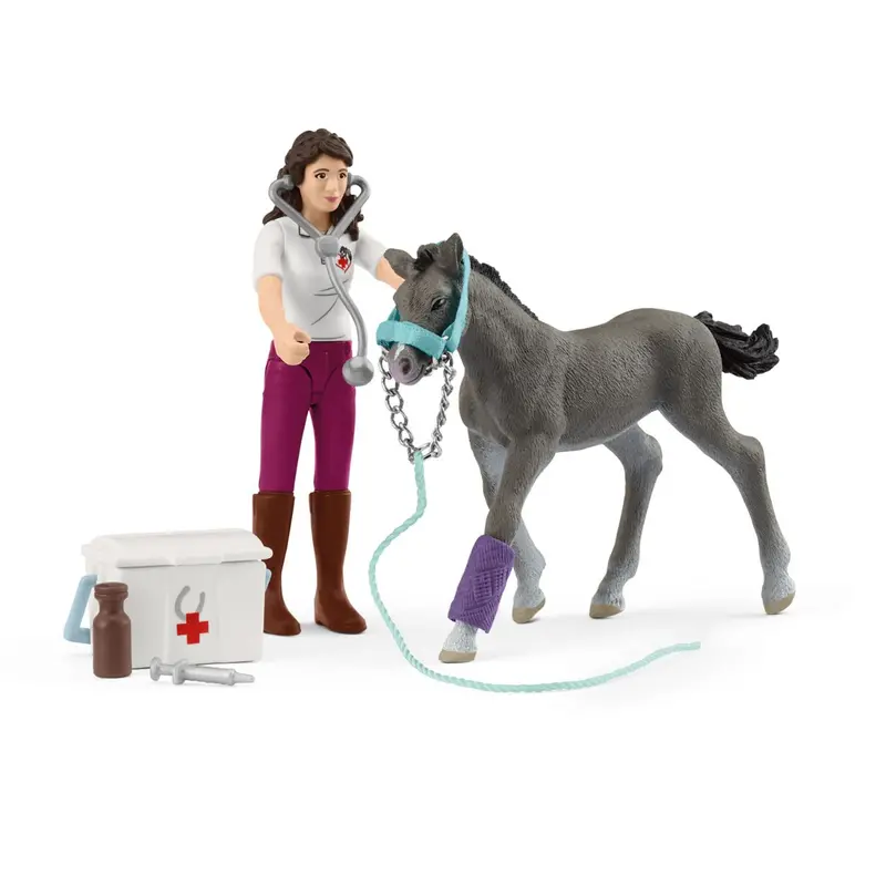 Horse Care With Trakehner Foal 1