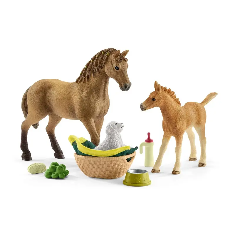 Horse Club Sarah's Baby Animal Care 1