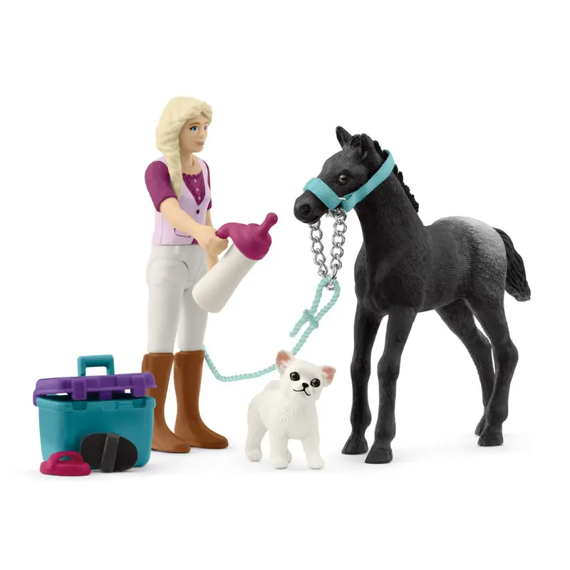 Horse Grooming With Appaloosa Foal 1