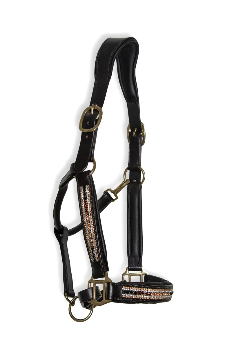 Horse Halter | Luxury Collection 4