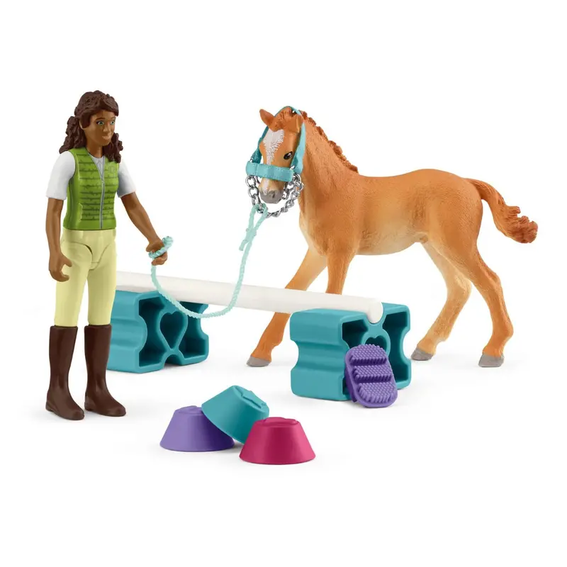 Horse Training With Tennessee Walker Foal 1
