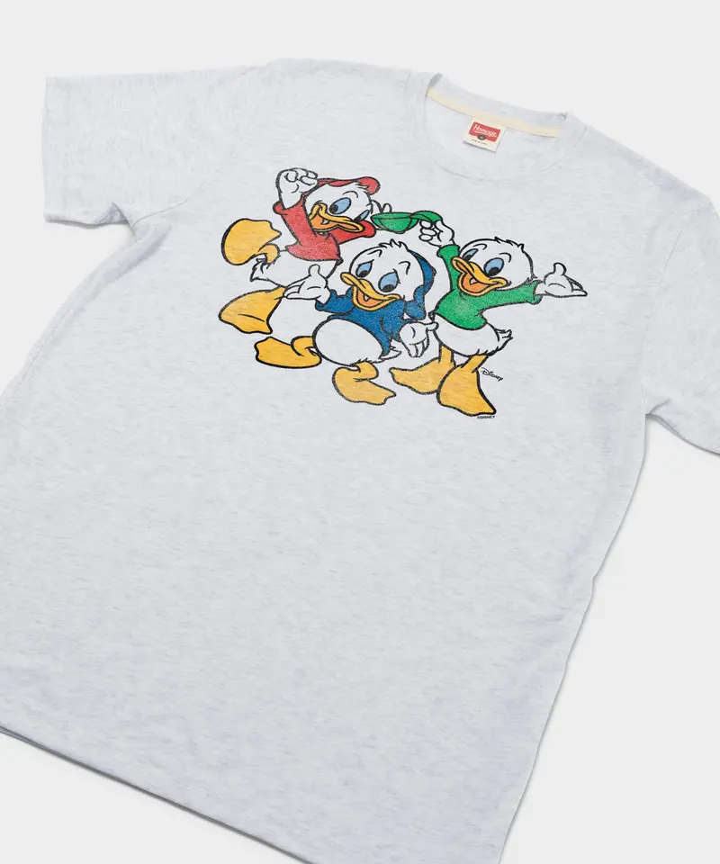 Huey Dewey And Louie Character 2