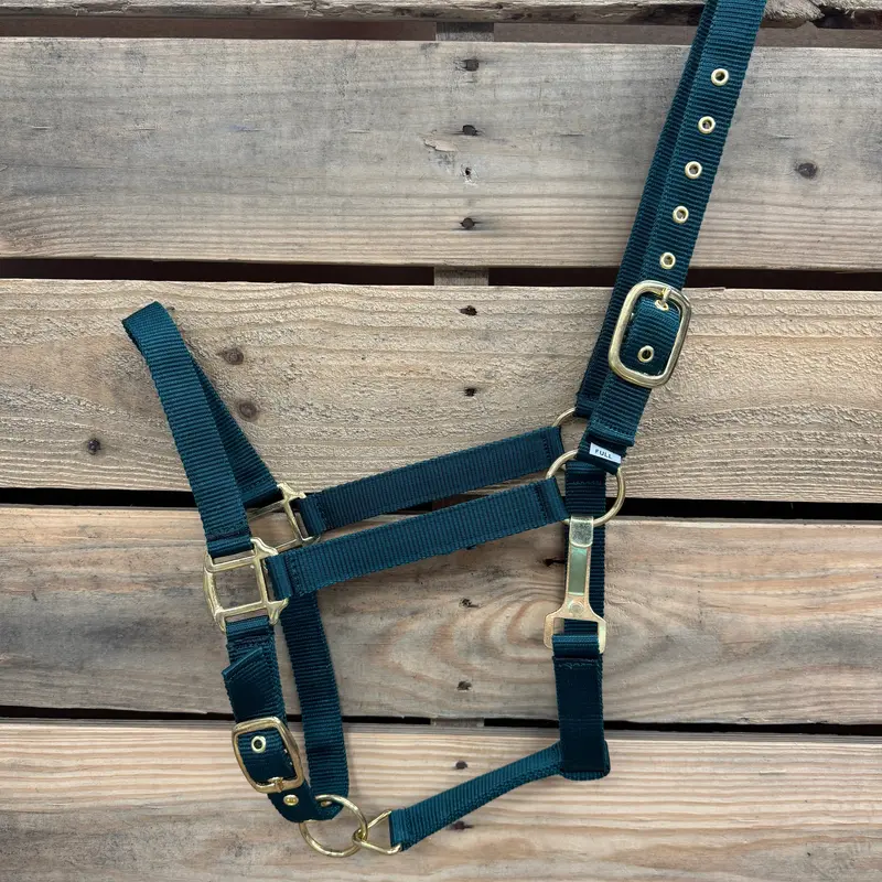 Hunter Green Nylon Horse Halter Nhgrn 2