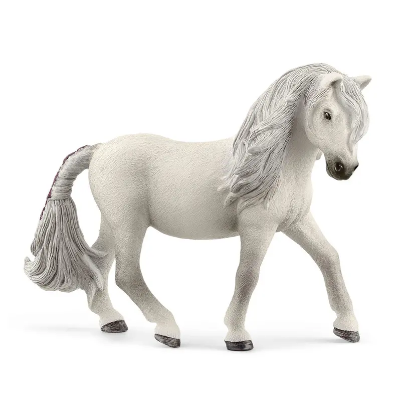 Icelandic Pony Mare 1