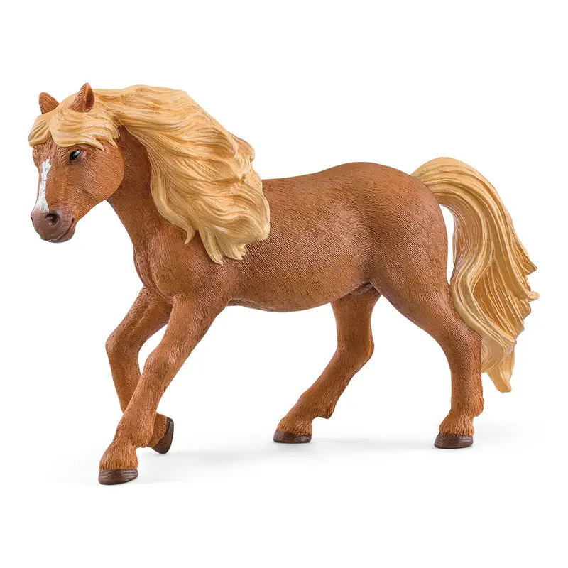 Icelandic Pony Stallion 1