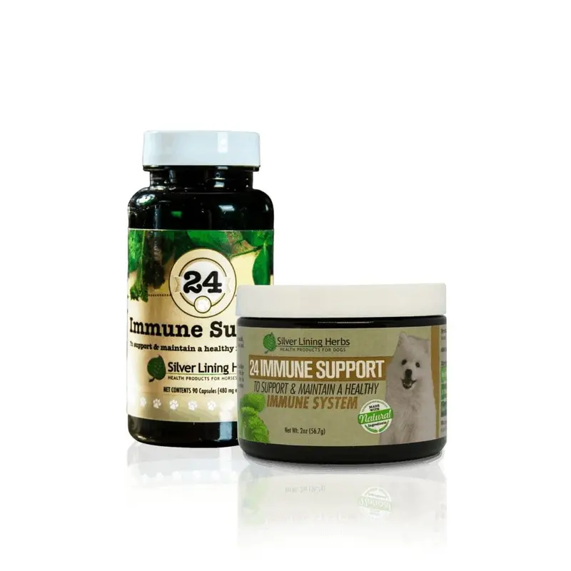 Immune Support For Canines 1