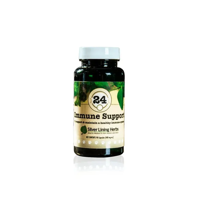 Immune Support For Canines 1
