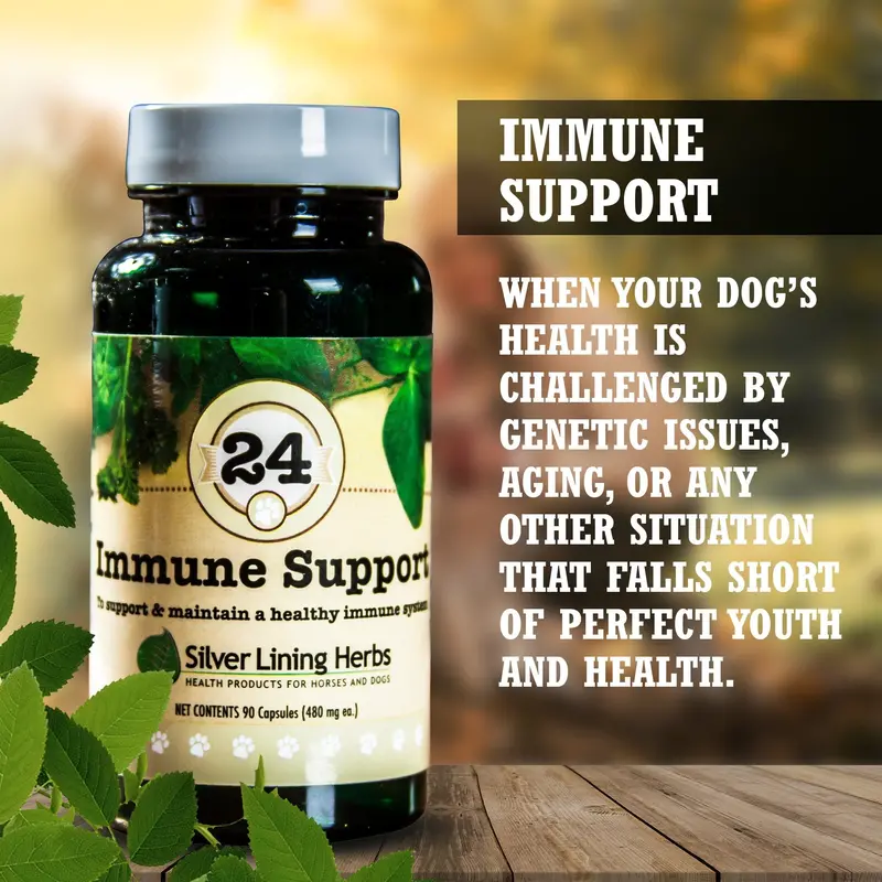 Immune Support For Canines 2