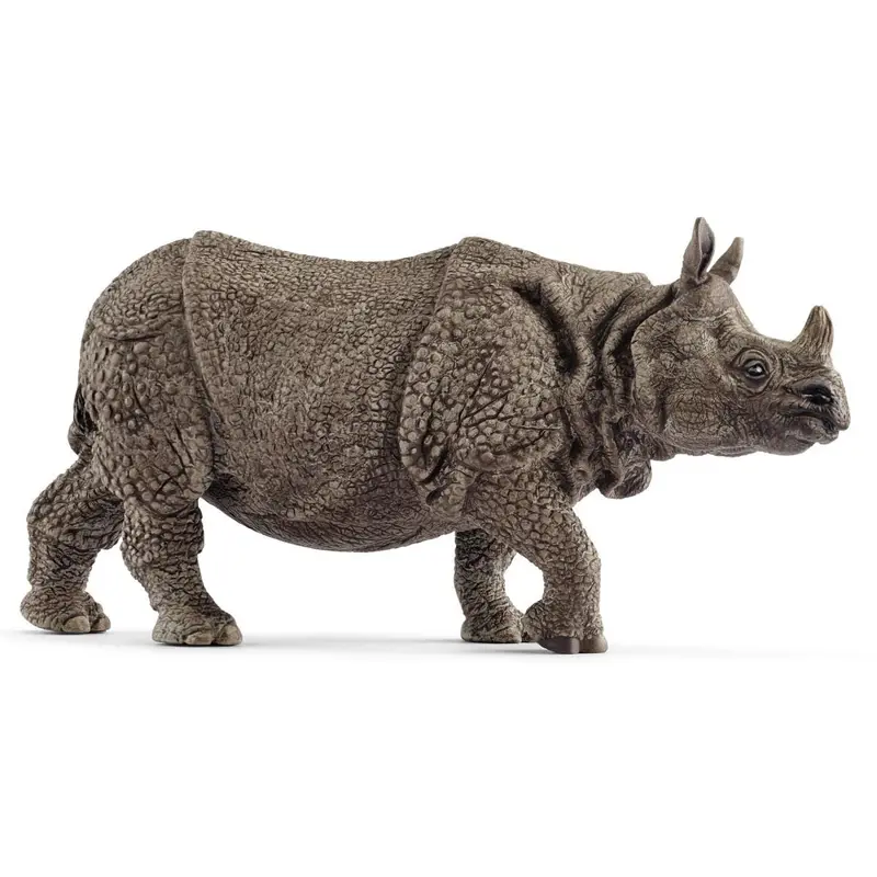 Indian Rhinoceros 1