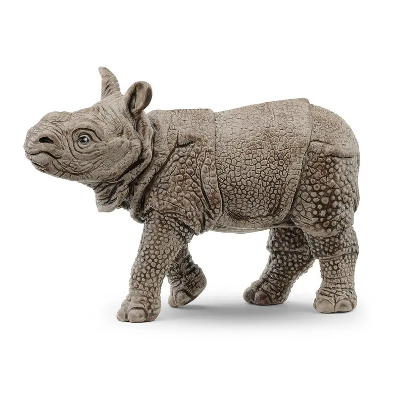 Indian Rhinoceros Baby 1