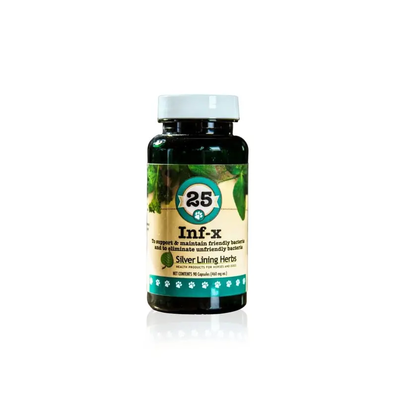 Inf-X For Canines - 90 Capsules 1