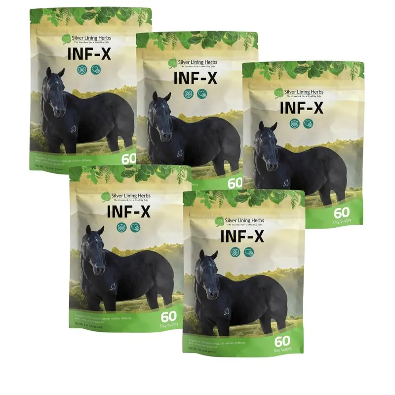 Inf-X For Horses 2