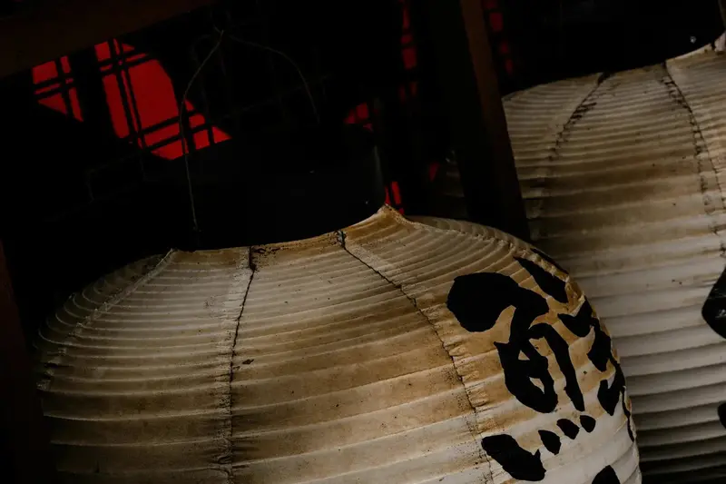 Japanese Lanterns 2