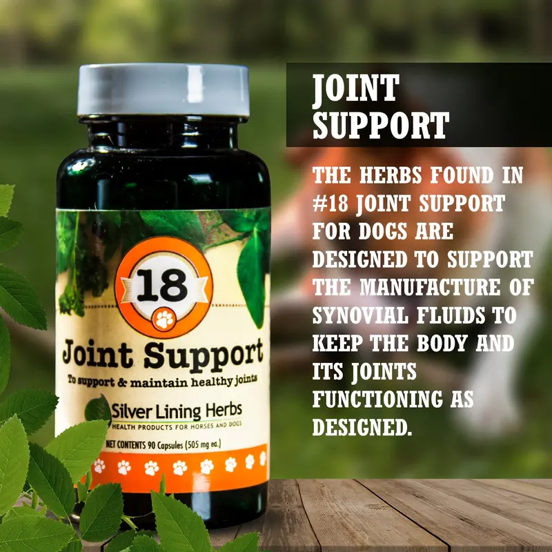 Joint Support For Canines 2